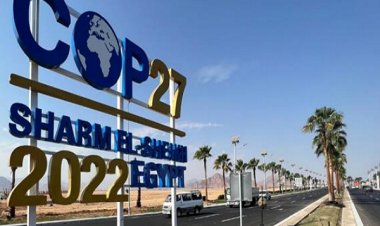9 days.. Agenda for Climate Conference «Cop27»
