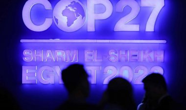 COP27