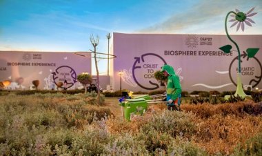 « Bee'ah Tandef »  Shows Egypt Free of waste During COP27