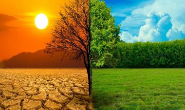 «World Leaders Summit in Egypt» supporting global response to the threat of climate change
