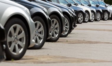 Exempting expatriate cars from customs injects 50 billion pounds into Egypt in hard currency