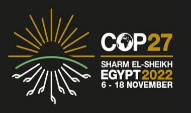 7 Information about the Sharm El-Sheikh Climate Conference