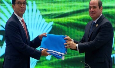"Financial Times" reveals Egypt's investments in the COMESA countries