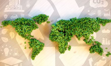 Net Zero & the Climate Change