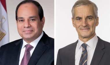 3 types.. Egypt and Norway cooperate to establish a green hydrogen station