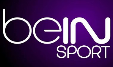 Know channels that broadcast the World Cup matches 2022  for free