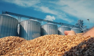 With 500 million pounds.. Establishment of the «Ard Misr for Silos and Storage» company