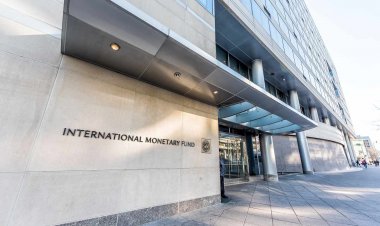 December 16... Finally  the International Monetary Fund includes Egypt on its meeting schedule