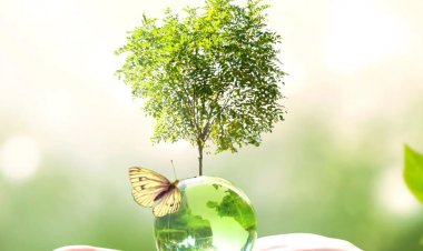 With investments amounting to $85 billion.. Egypt is expanding green hydrogen projects