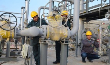 Gas delivery to 14 million homes.. Oil achievements in a year