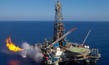 $11 billion Egypt's gas exports last year