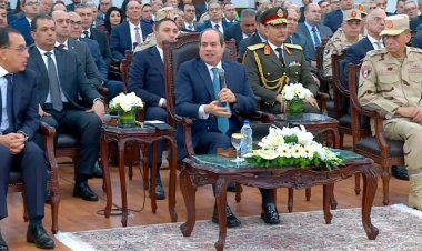 Sisi's plan to reduce pressure on the dollar