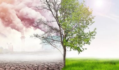 1.5 million euros... An agreement between Egypt and France on the climate