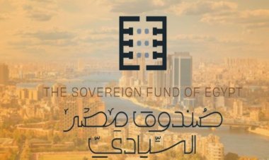 37 billion EGP.. Foreign investments for the Sovereign Fund of Egypt