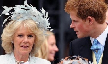 Shock.. Prince Harry opens fire on the royal family