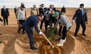 8 main goals of the "plant" initiative