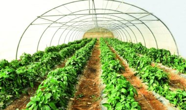 150 billion EGP.. A new government initiative to support industry and agriculture
