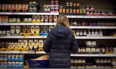 Death of 34 million chickens raises the price of eggs in Britain