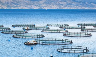 $1.5 trillion annually.. Elements of a sustainable blue economy