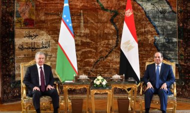 Mutual investment between Egypt and Uzbekistan in these fields