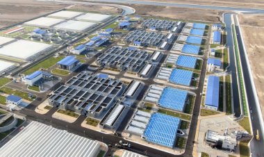 610 billion pounds... The cost of development and reconstruction of Sinai