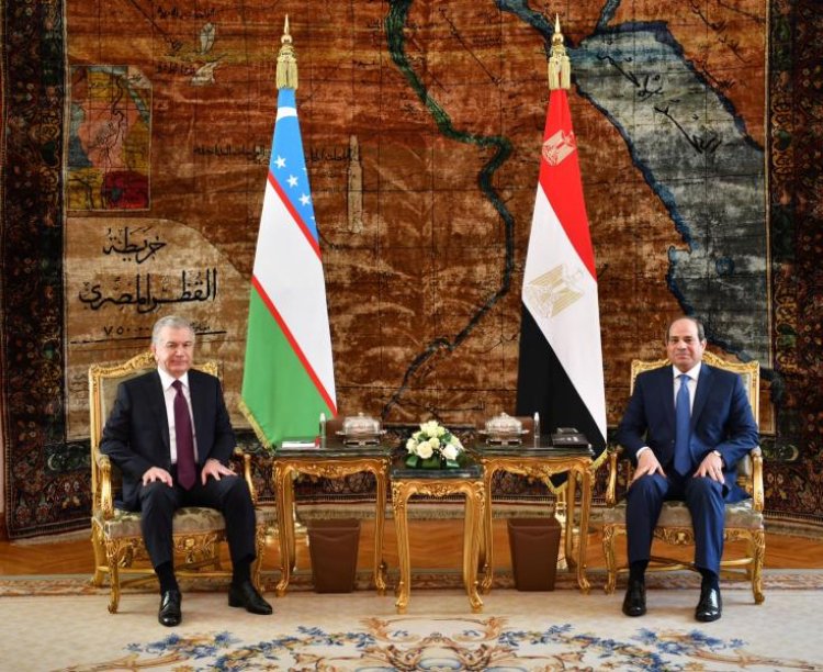 Mutual investment between Egypt and Uzbekistan in these fields