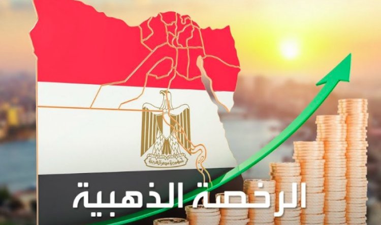 How the golden license increased foreign investment in Egypt?