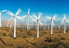 Is Egypt leading the world in the production of wind energy?