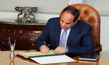 Presidential decision to transfer ownership of “Misr Insurance Holding” Company to “Sovereign Fund”