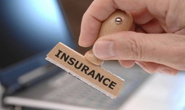 EGP 5.4 billion.. Private insurance fund investments in 2022