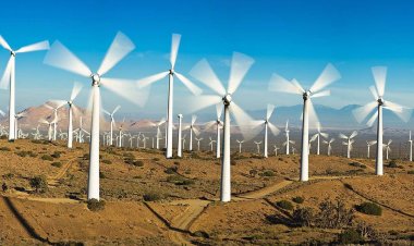 Is Egypt leading the world in the production of wind energy?