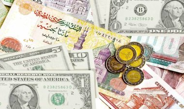 Modern Development and Investment offers to establish 6-dollar funds in Egypt