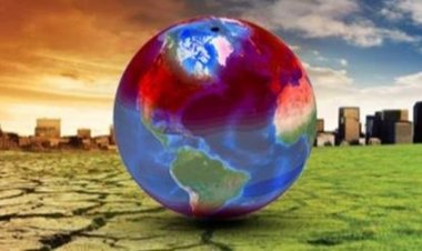 10 Information about the Environment and Climate Investment Unit