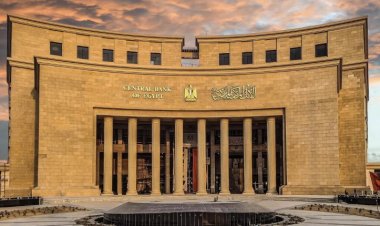 How does the interest rate hike affect the Egyptians?