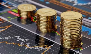 After Raises of treasury bills.. A new certificate with a return of 19%