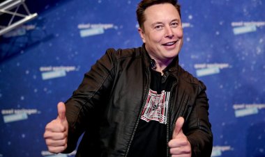 Is Elon Musk replacing the Twitter logo with a dog?