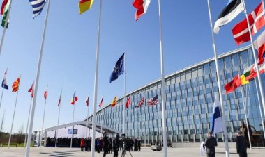 After Finland: 4 countries seek to join NATO