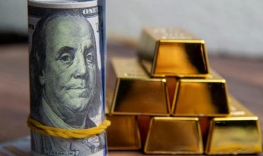 A slap from Egypt to the dollar.. What did you do?