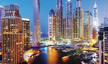 $21 billion.. UAE is the first Arab country to attract foreign investment