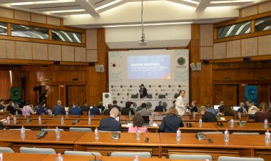 Egypt's hosting of African Development Bank meetings.. adventure