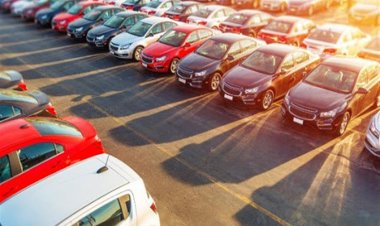 Specific brands account for 91.8% of total bus sales in Egypt