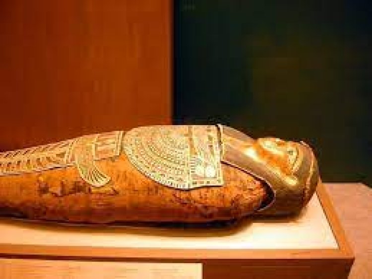 Is Egypt Transferer Pharaonic coffins to Israel for examination?