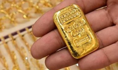 “A gram would have reached 3,500”.. The effect of customs exemptions on the stability of gold prices