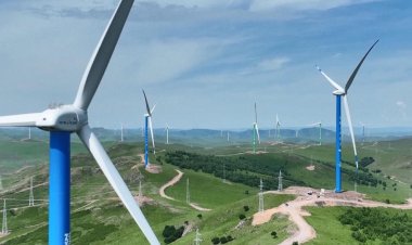 $10 billion... Egyptian-Emirati investment to generate electricity from wind