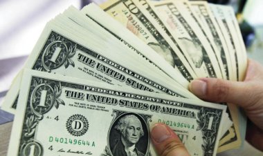 $7 billion .. total investments of "International Finance" since its inception in Egypt