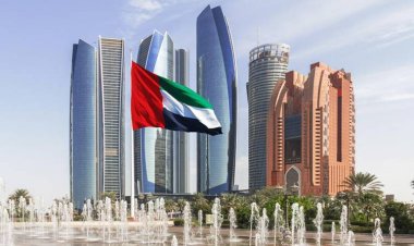 9 steps to obtain a foreign direct investment company license in the UAE