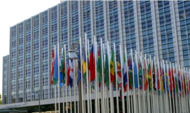 $1.1 billion .. the value of the cooperation portfolio between Egypt and the" IFAD" Fund