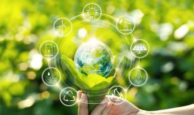 What Egypt do to increase capabilities in producing green hydrogen?