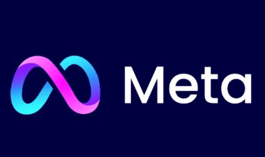 "Meta" launches the feature of WhatsApp channels in Egypt