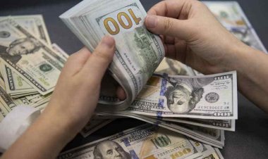 The Investment Law exempts company from stamp tax for 5 years